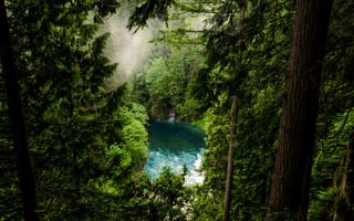 Картинка лес, деревья, Канада, озеро, туман, природа, Ванкувер, ели, горы