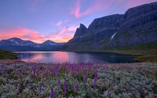 Картинка цветы, озеро, Norway, горы, Норвегия, восход