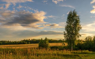 Картинка облака, деревья, Березуцкий Александр, природа