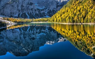 Обои осень, Доломитовые Альпы, Pragser Wildsee, Озеро Брайес, South Tyrol, отражение, Италия, лес, горы, озеро, Южный Тироль, Italy, Lago Di Braies, Lake Braies, Dolomites