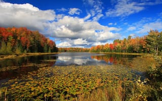 Картинка осень, облака, озеро, лес