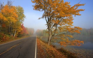 Обои дорога, осень, туман, лес, озеро