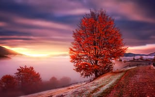 Картинка Карпаты, осень, Украина, горы, туман, рассвет