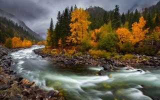 Картинка осень, Doug Shearer, камни, течение, река
