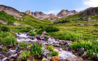 Картинка США, цветы, камни, долина, ручей, горы, трава, Colorado