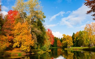Картинка осень, листья, река, park, autumn, nature, colorful, парк, leaves, деревья, tree, river
