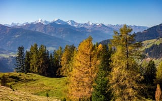 Картинка осень, деревья, горы, Австрия, октябрь