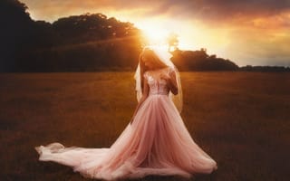 Картинка невеста, TJ Drysdale, солнце