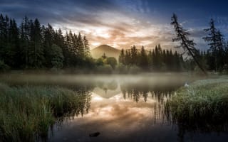Картинка осень, природа, утро, туман, озеро