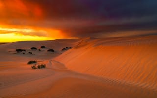 Картинка Eucla, песок, Австралия, пустыня, небо, зарево, облака
