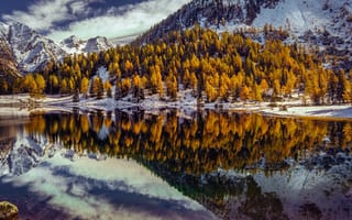 Картинка деревья, озеро, Duisitzkar Lake, Штирия, горы, Альпы, Alps, Австрия, Styria, отражение, Озеро Дуйсицкар, Austria, Duisitzkarsee