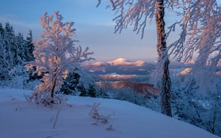 Картинка зима, снег, деревья, горы