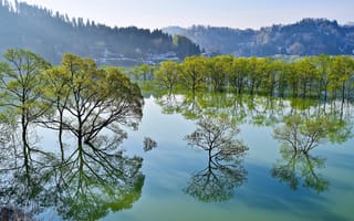 Картинка Lake Shirakawa, Ииде, Yamagata, Japan, озеро Сиракава, деревья, Iide, Япония, озеро, отражение, Ямагата