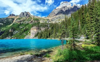 Картинка Канада, горы, деревья, облака, озеро, камни, Yoho National Park, скалы
