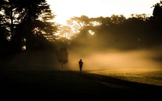 Картинка утро, бег, туман