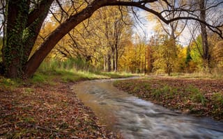 Обои осень, река, природа