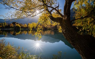 Картинка осень, озеро, Франция, отражение, дерево, Ла-Рош-де-Рам, France, La Roche-de-Rame