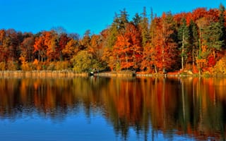 Картинка пруд, деревья, парк, отражение, осень, лес, люди