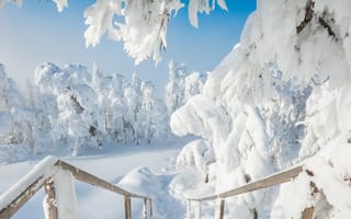Картинка Южный Урал, зима, Россия, деревья, снег, сугробы