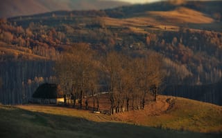 Картинка осень, деревья, пейзаж, холмы, дом, леса, луга, природа, Румыния, Александр Перов