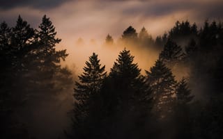 Картинка пейзаж, закат, природа, туман