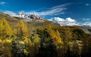 Картинка Zell am See, Зальцбург, Австрия, Alps, Salzburg, Целль-ам-Зе, деревья, Austria, горы, Альпы, осень