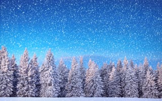 Картинка winter, лес, snow, nature, снежинки, зима, снег, елка