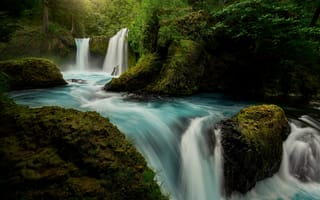 Картинка лес, река, мох, Ущелье реки Колумбия, водопады, Штат Вашингтон, Columbia River Gorge, Washington State, Little White Salmon River, Spirit Falls
