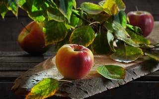 Картинка листья, яблоки, ветка, фрукты, доски, Сергей Фунтовой