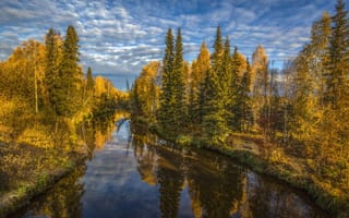 Картинка осень, отражение, природа, пейзаж, река, лес, берега