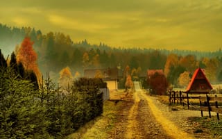 Картинка Польша, дома, дорога, туман, осень, деревья