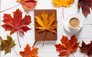 Обои осень, autumn, cup, maple, листья, coffee, чашка кофе, wood, клен, colorful, leaves