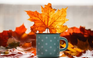 Картинка осень, maple, wood, кружка, mug, colorful, листья, leaves, autumn, yellow, клен