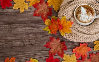 Обои осень, coffee, maple, чашка кофе, листья, autumn, cup, wood, клен, leaves, colorful