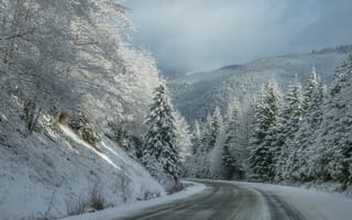 Картинка зима, деревья, трасса, дорога, снег