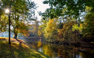 Картинка Нидерланды, солнце, осень, пруд, парк, листья, деревья, Vught, Reeburgpark