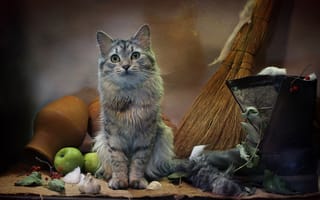 Картинка кошка, сапог, Ковалёва Светлана, яблоки, мешковина, листья, паутина, животное, крынка, Светлана Ковалёва, кот, чеснок, веник