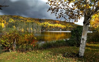 Картинка осень, лес, пейзаж, озеро, холмы, тучи, дерево, природа
