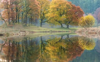 Картинка осень, деревья, River Brathay, Англия, Cumbria, England, река, отражение