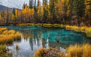 Картинка осень, деревья, природа, озеро, отражение, Алтай, лес, листья