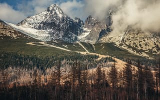 Картинка лес, горы, Tatry Wysokie