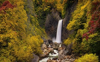 Картинка осень, деревья, кусты, листва, водопад