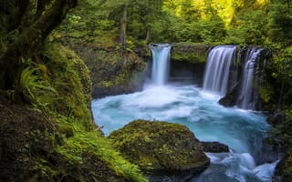 Картинка Spirit Falls, ущелье реки Колумбия, река, Columbia River Gorge, водопад, штат Вашингтон, лес, Washington, Little White Salmon River