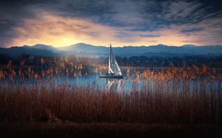 Картинка озеро, Озеро Грайфен, Швейцария, камыш, Грайфензее, Greifensee Lake, яхта, Switzerland