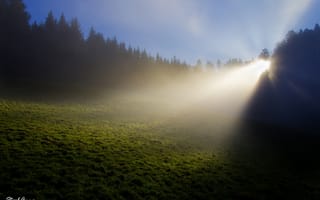 Картинка утро, Stephan &amp; Anna Gürtler photography, лучи, свет, Франция, роса, лес, природа, трава, туман, поляна