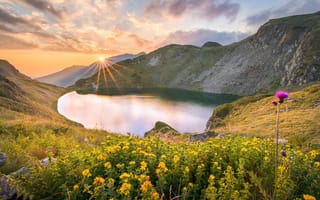 Картинка солнце, горы, лучи, пейзаж, склоны, природа, озеро, Болгария, цветы, травы
