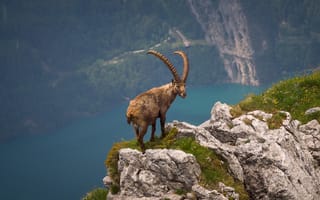 Картинка горы, природа, высота, растительность, скалы, рога, камни, обрыв