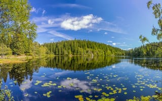 Картинка Skjennungen Lake, отражение, озеро, Oslo County, Норвегия, деревья, лес, Norway, лето