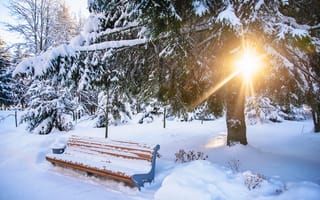 Обои зима, снег, bench, скамейка, white, tree, парк, landscape, park, snow, winter