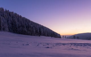 Картинка La Sagne, Switzerland, La Chaux-de-Fonds, деревья, зима, Ла Сань, снег, Ла-Шо-де-Фон, Швейцария, лес
